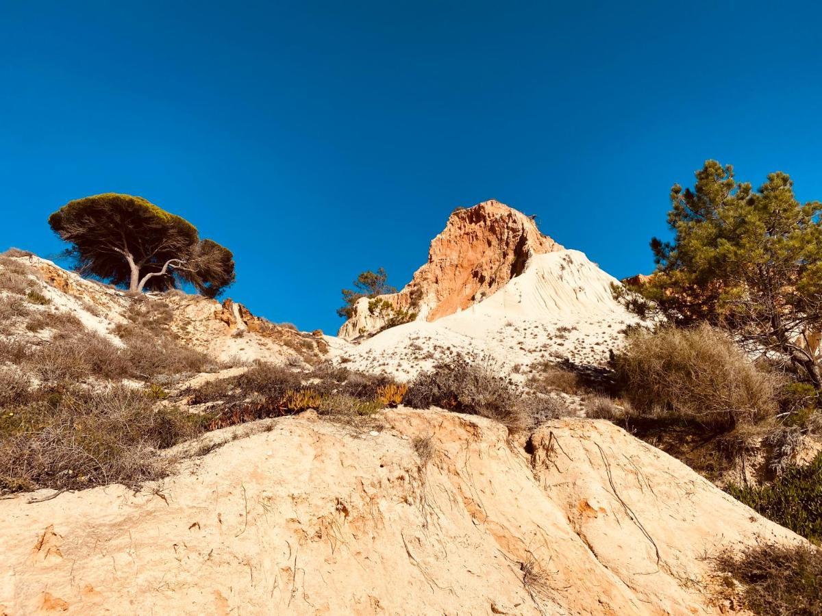 Algarve Luxury Experience - Situated Within The Pinecliffs Resort Albufeira Exteriér fotografie