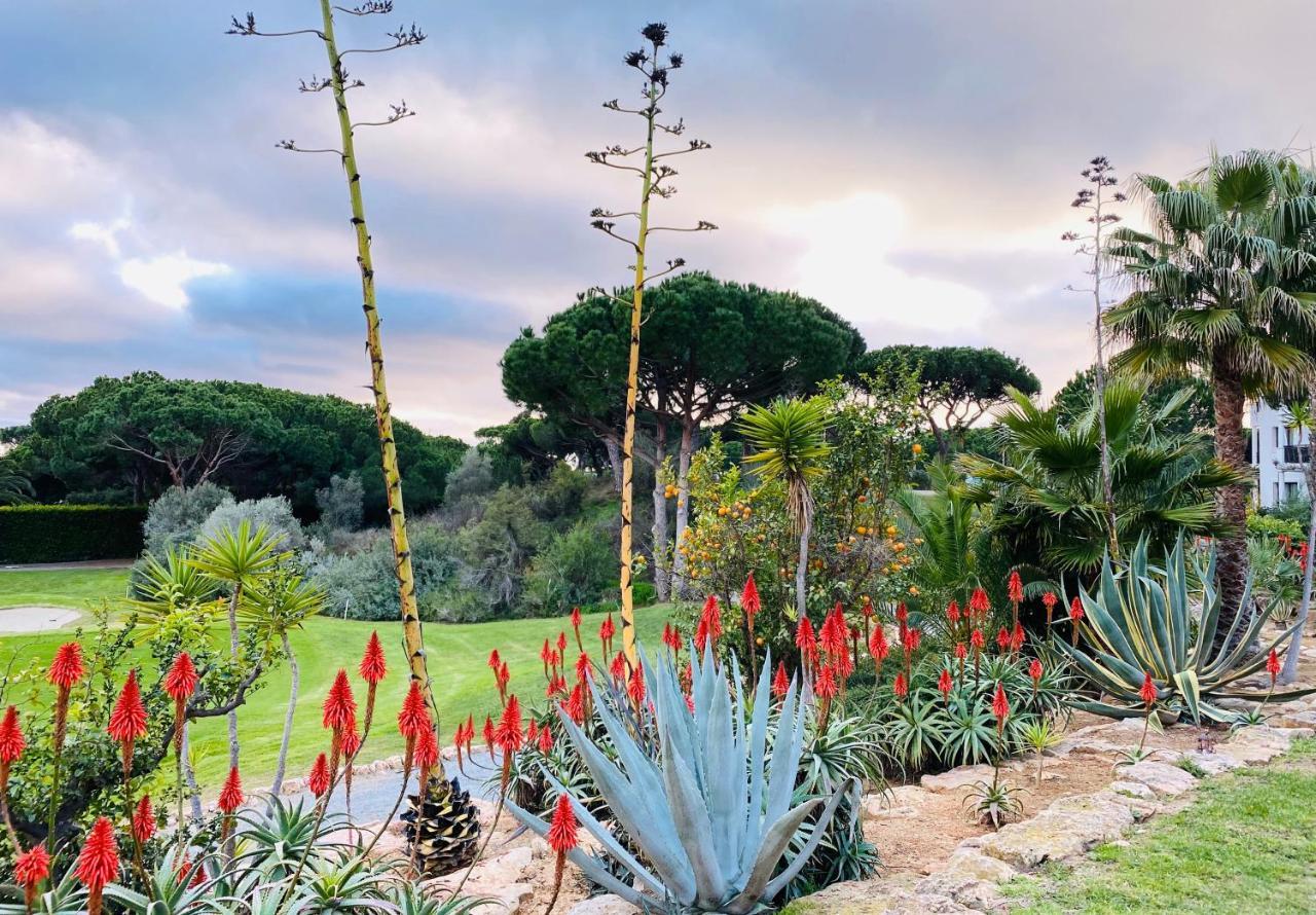 Algarve Luxury Experience - Situated Within The Pinecliffs Resort Albufeira Exteriér fotografie
